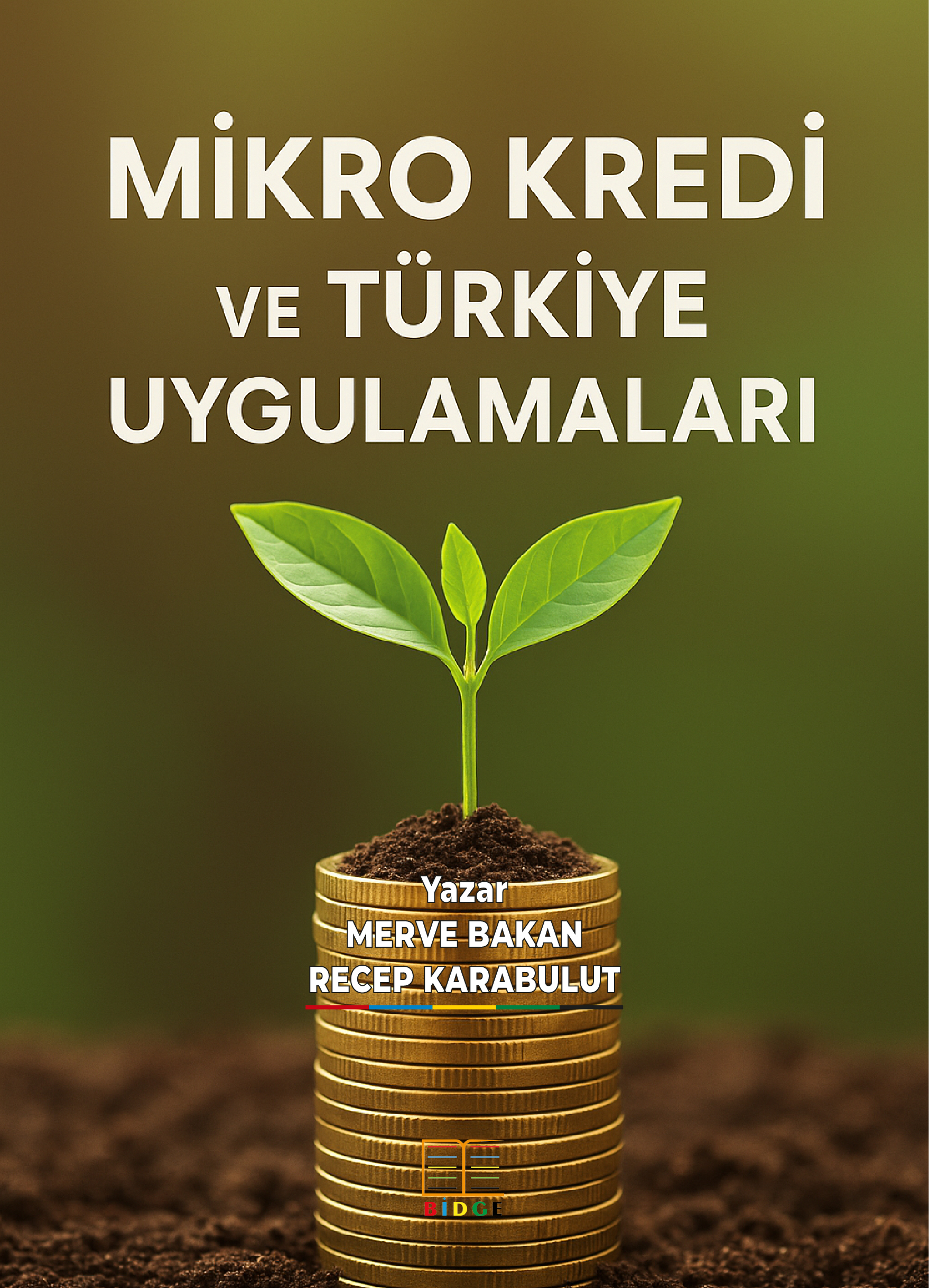 MİKRO KREDİ VE TÜRKİYE UYGULAMALARI