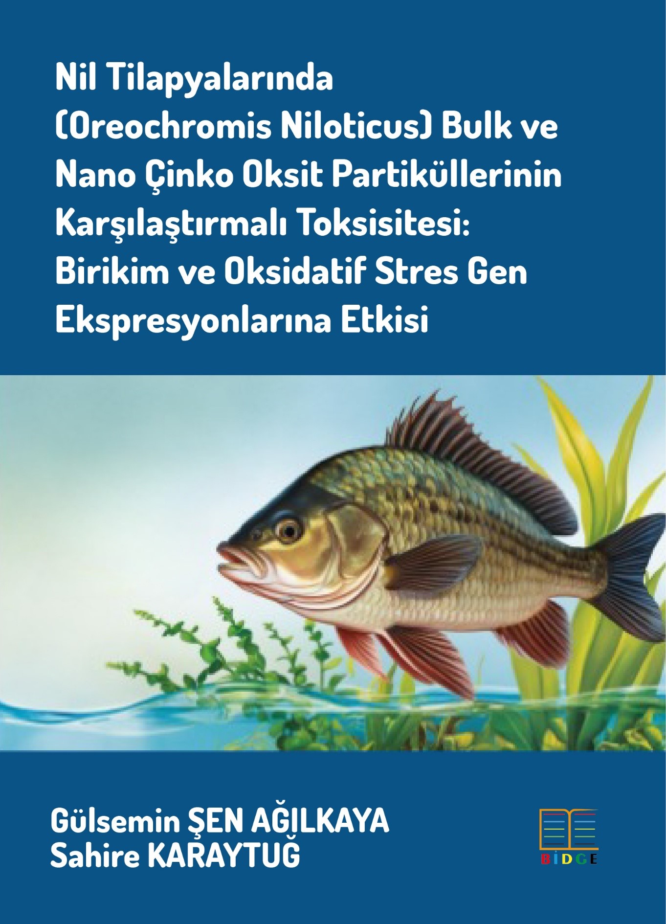 Nil Tilapyalarında (Oreochromis Niloticus) Bulk ve Nano Çinko Oksit Partiküllerinin Karşılaştırmalı Toksisitesi: Birikim ve Oksidatif Stres Gen Ekspresyonlarına Etkisi kapak görseli