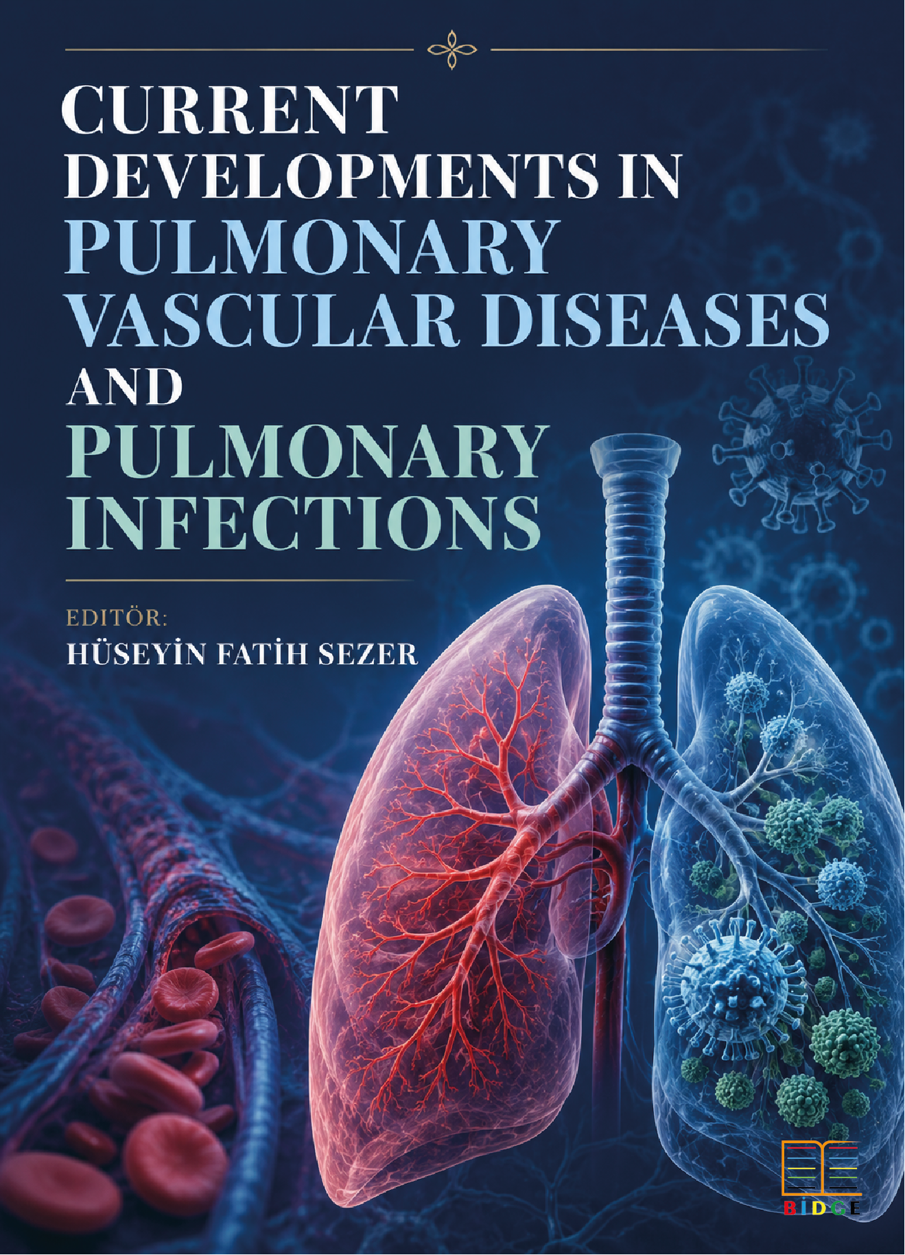 Current Developments in Pulmonary Vascular Diseases and Pulmonary Infections kapak görseli