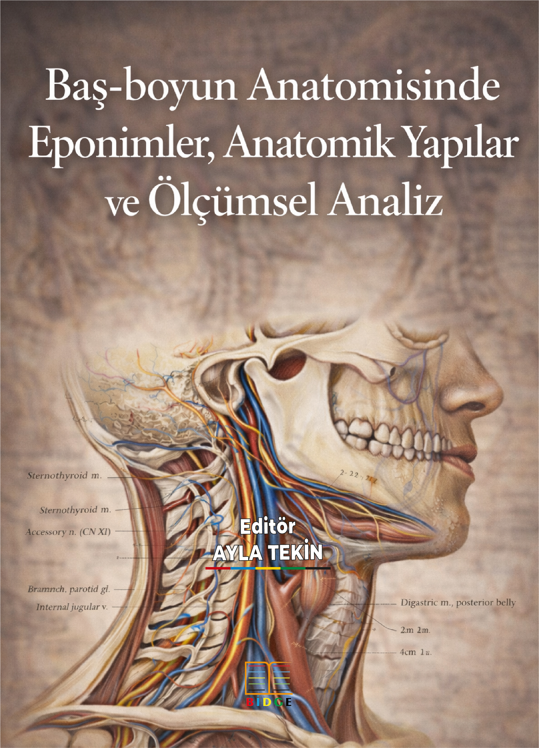 Baş-boyun Anatomisinde Eponimler, Anatomik Yapılar ve Ölçümsel Analiz kapak görseli