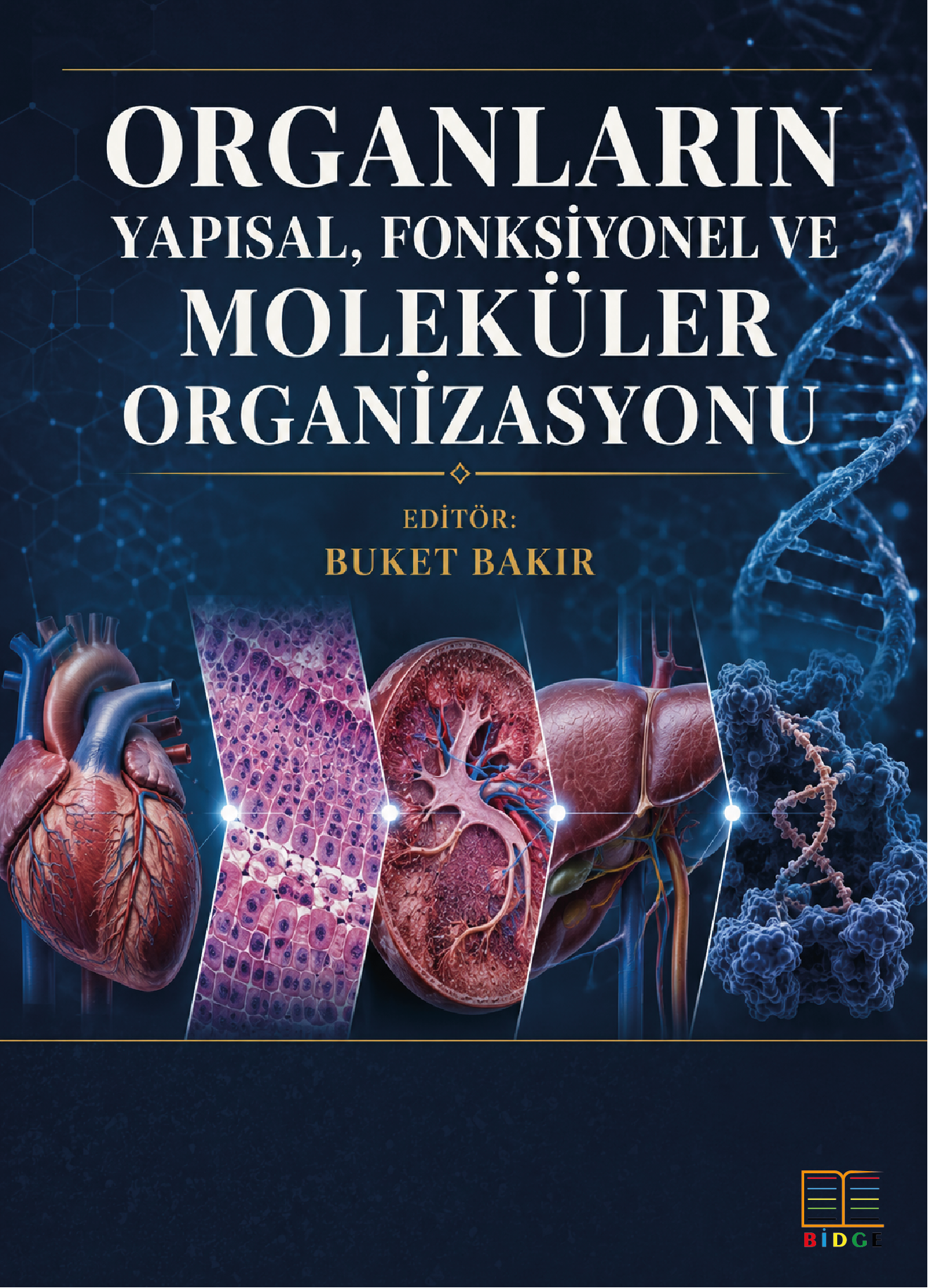 Organların Yapısal, Fonksiyonel ve Moleküler Organizasyonu kapak görseli