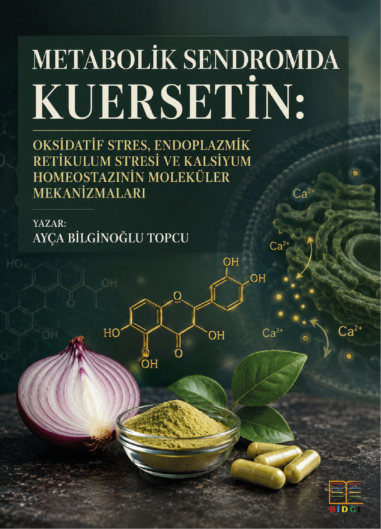 Metabolik Sendromda Kuersetin: Oksidatif Stres, Endoplazmik Retikulum Stresi ve Kalsiyum Homeostazının Moleküler Mekanizmaları kapak görseli
