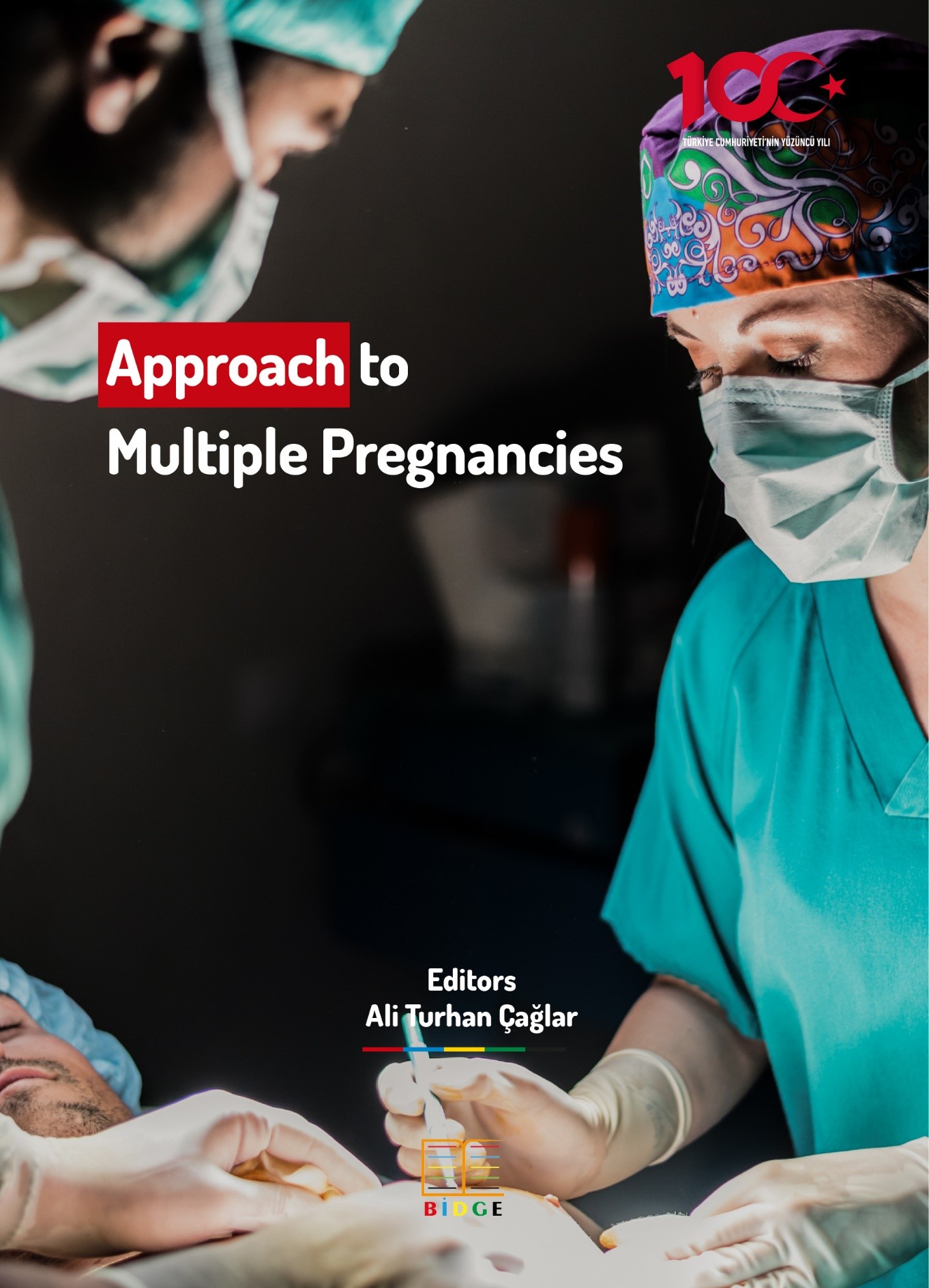 Approach to Multiple Pregnancies kapak görseli