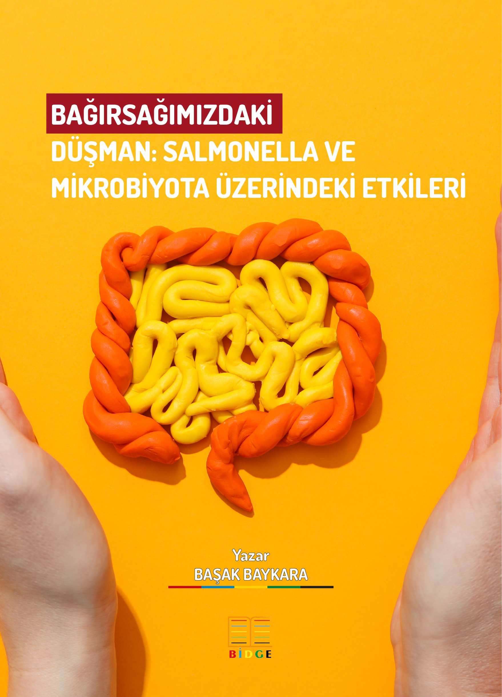 BAĞIRSAĞIMIZDAKİ DÜŞMAN: SALMONELLA VE MİKROBİYOTA ÜZERİNDEKİ ETKİLERİ kapak görseli