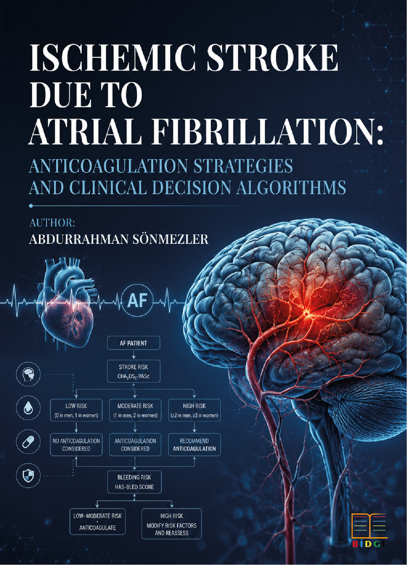 Ischemic Stroke Due to Atrial Fibrillation: Anticoagulation Strategies and Clinical Decision Algorithms kapak görseli