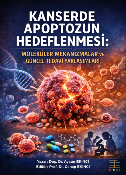 KANSERDE APOPTOZUN HEDEFLENMESİ: MOLEKÜLER MEKANİZMALAR VE GÜNCEL TEDAVİ YAKLAŞIMLARI kapak görseli