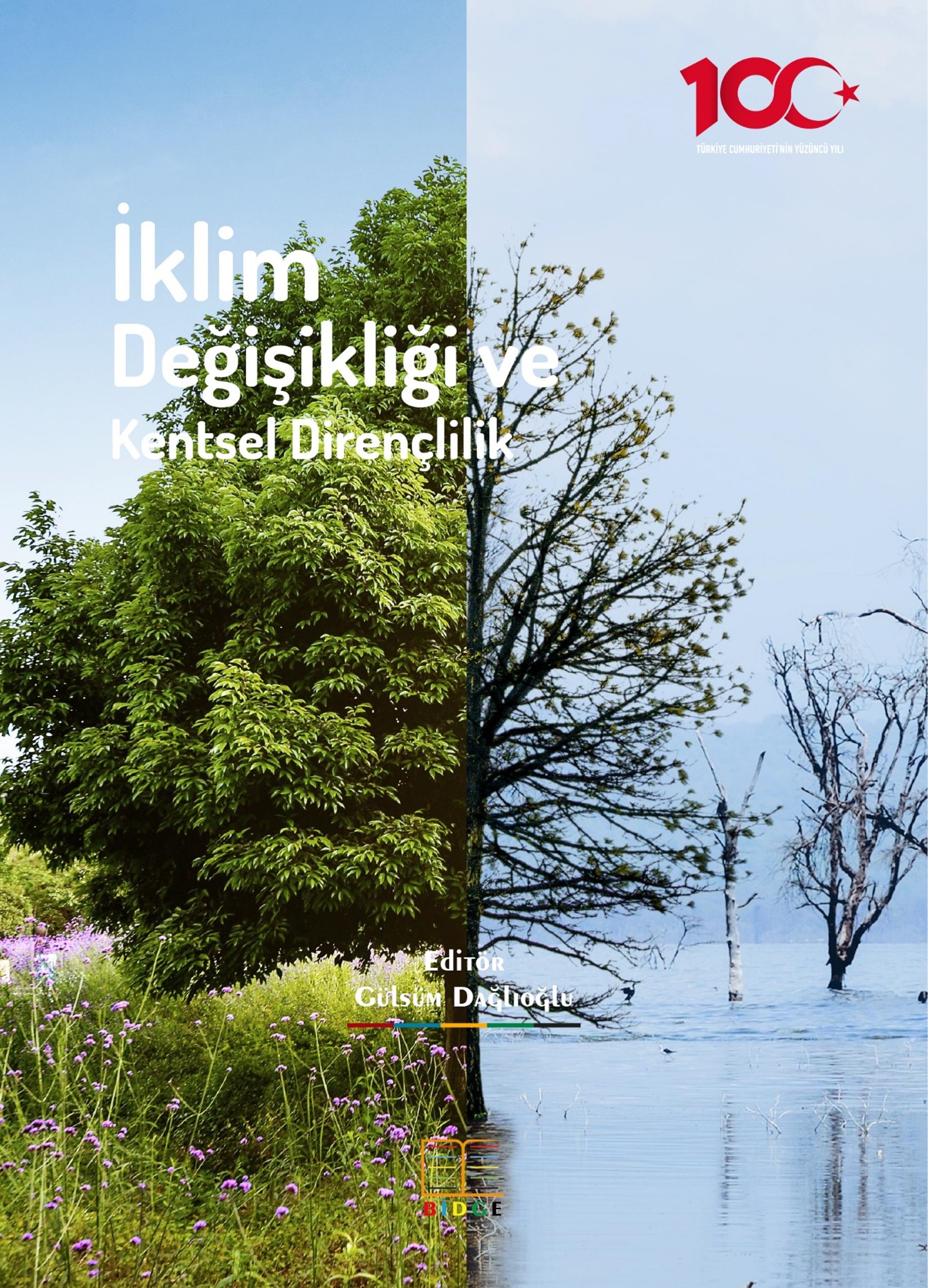 İklim Değişikliği ve Kentsel Dirençlilik kapak görseli