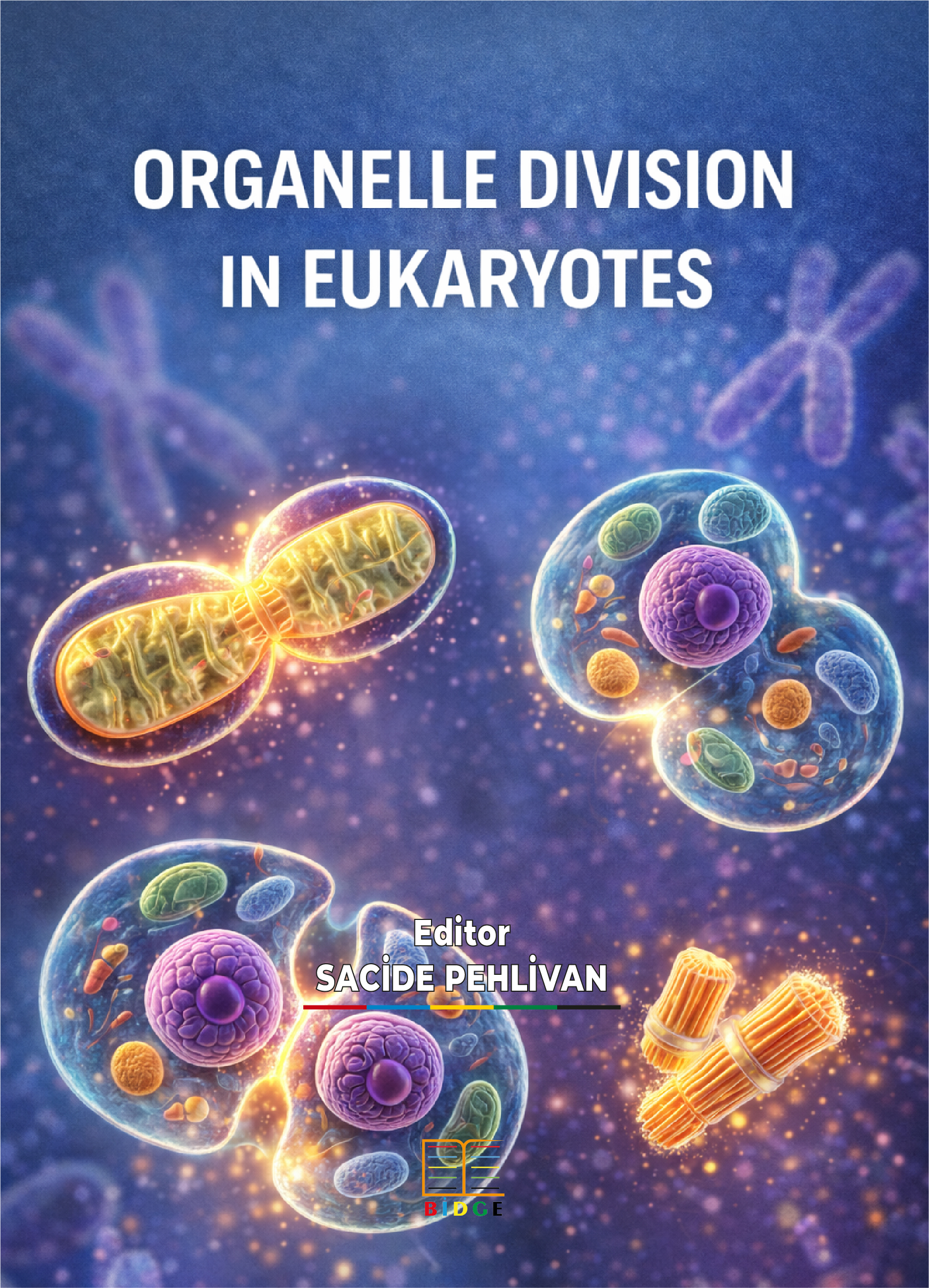 ORGANELLE DIVISION IN EUKARYOTES kapak görseli