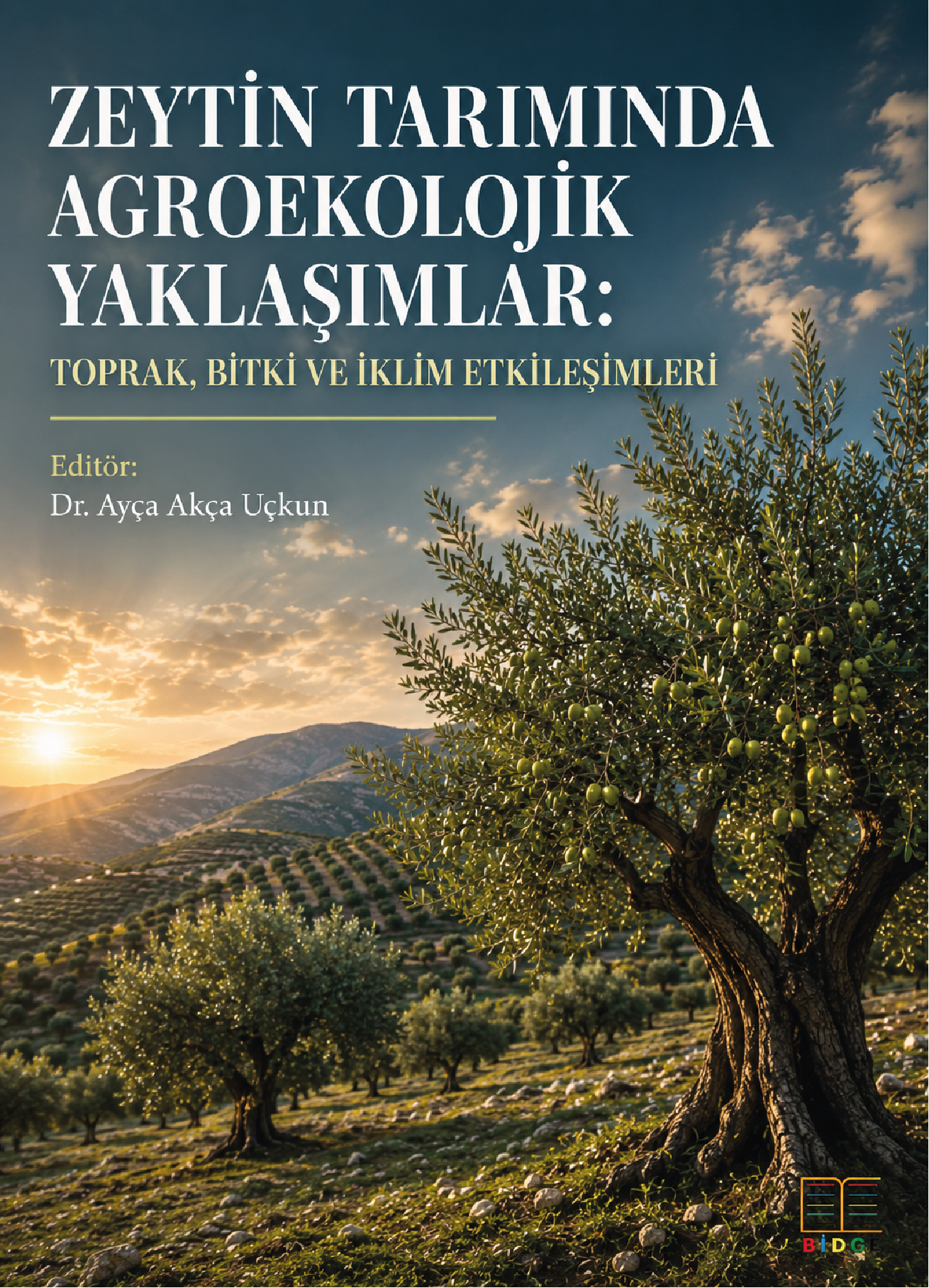 Zeytin Tarımında Agroekolojik Yaklaşımlar: Toprak, Bitki ve İklim Etkileşimleri kapak görseli