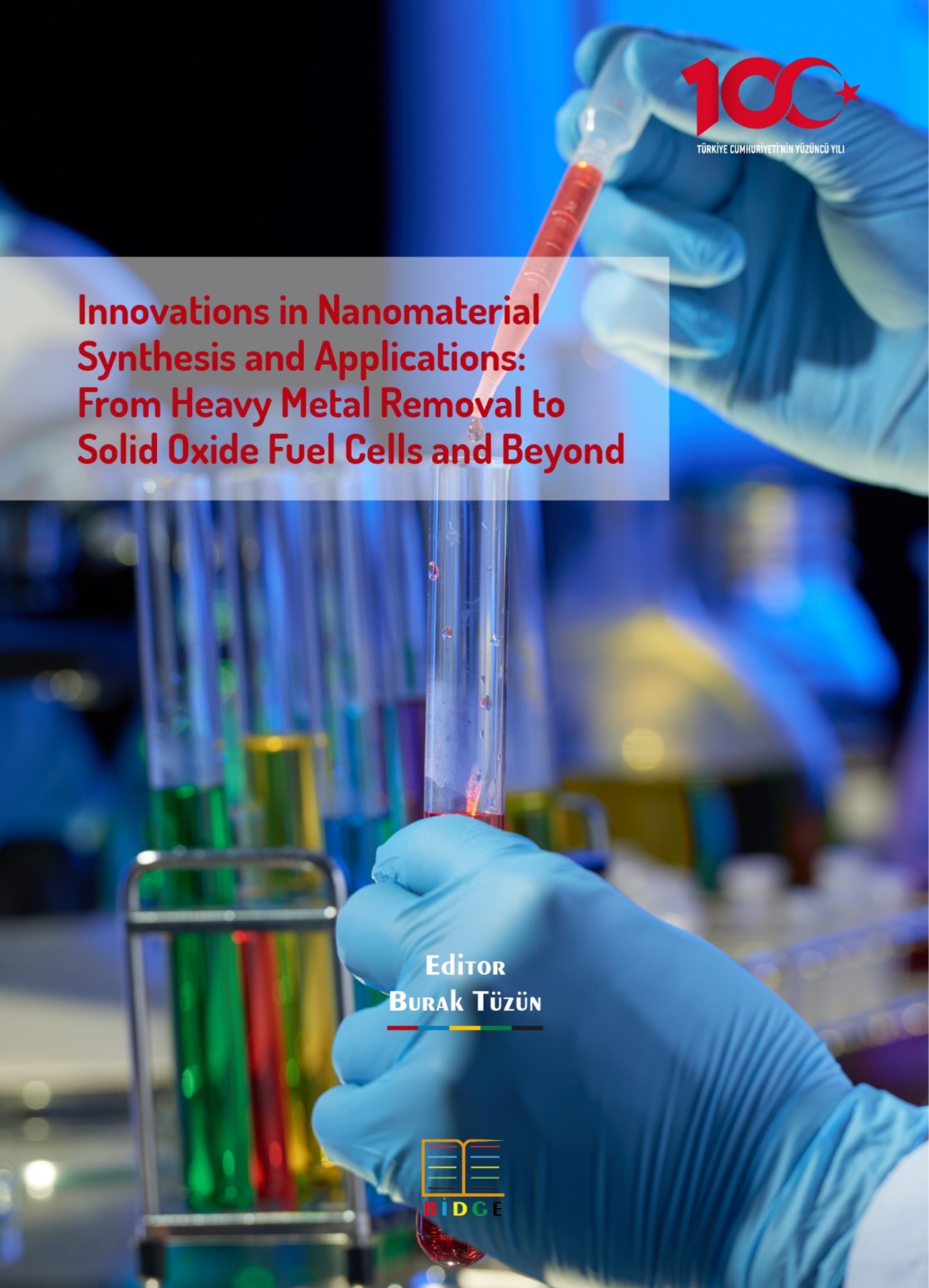 Innovations in Nanomaterial Synthesis and Applications: from Heavy Metal Removal to Solid Oxide Fuel Cells and Beyond kapak görseli