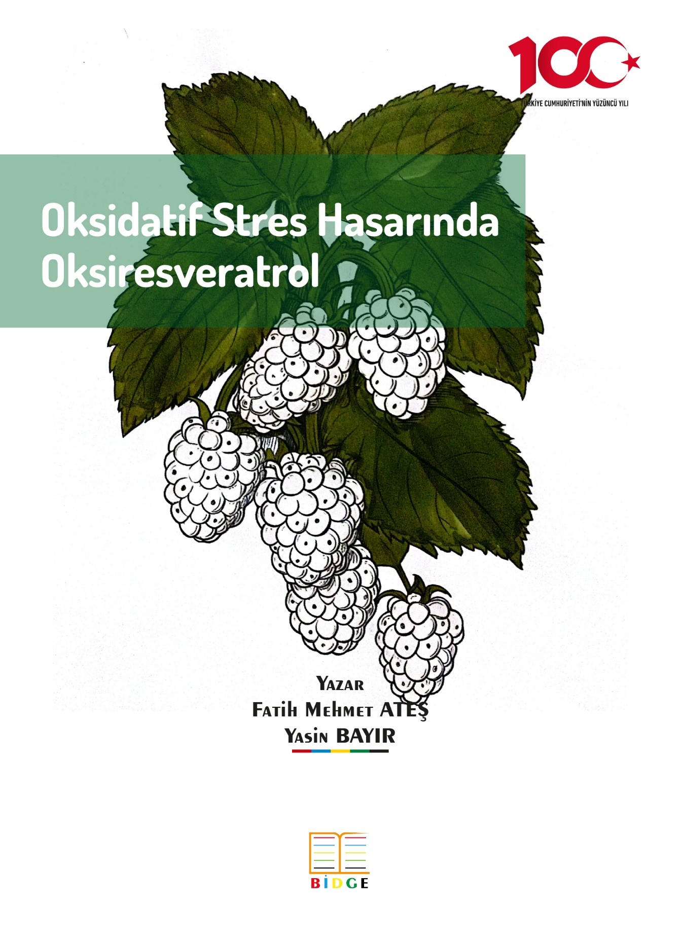 Oksidatif Stres Hasarında Oksiresveratrol kapak görseli