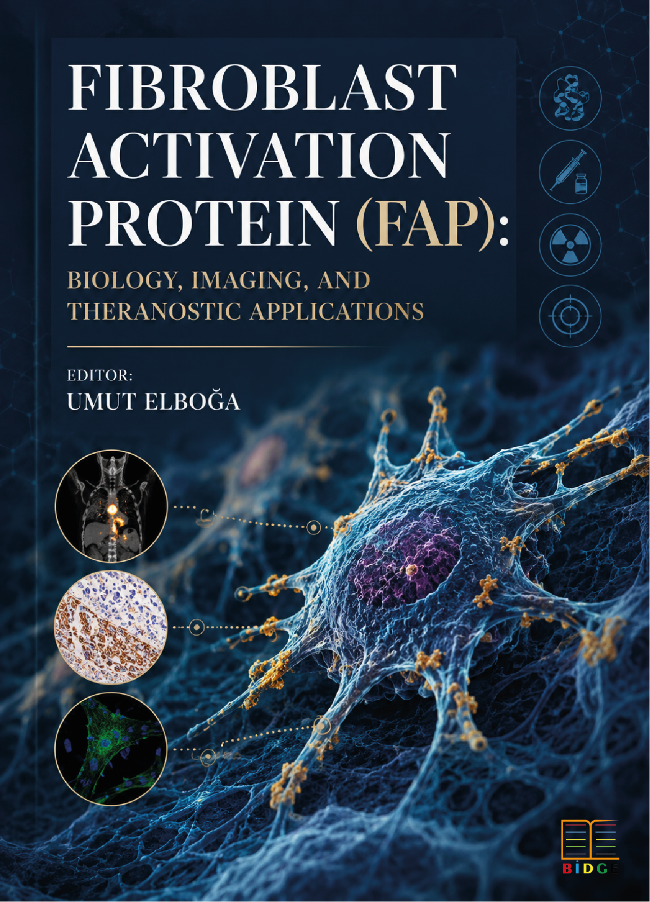 Fibroblast Activation Protein (fap): Biology, Imaging, and Theranostic Applications kapak görseli
