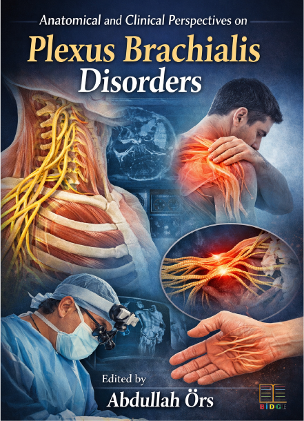Anatomical and Clinical Perspectives on Plexus Brachialis Disorders