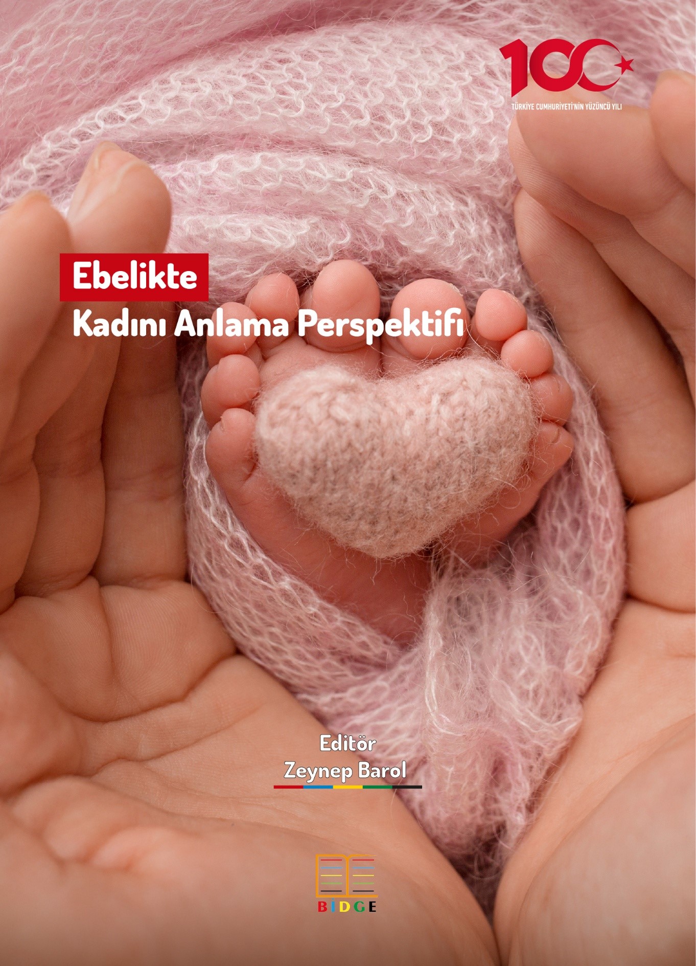 Ebelikte Kadını Anlama Perspektifi kapak görseli
