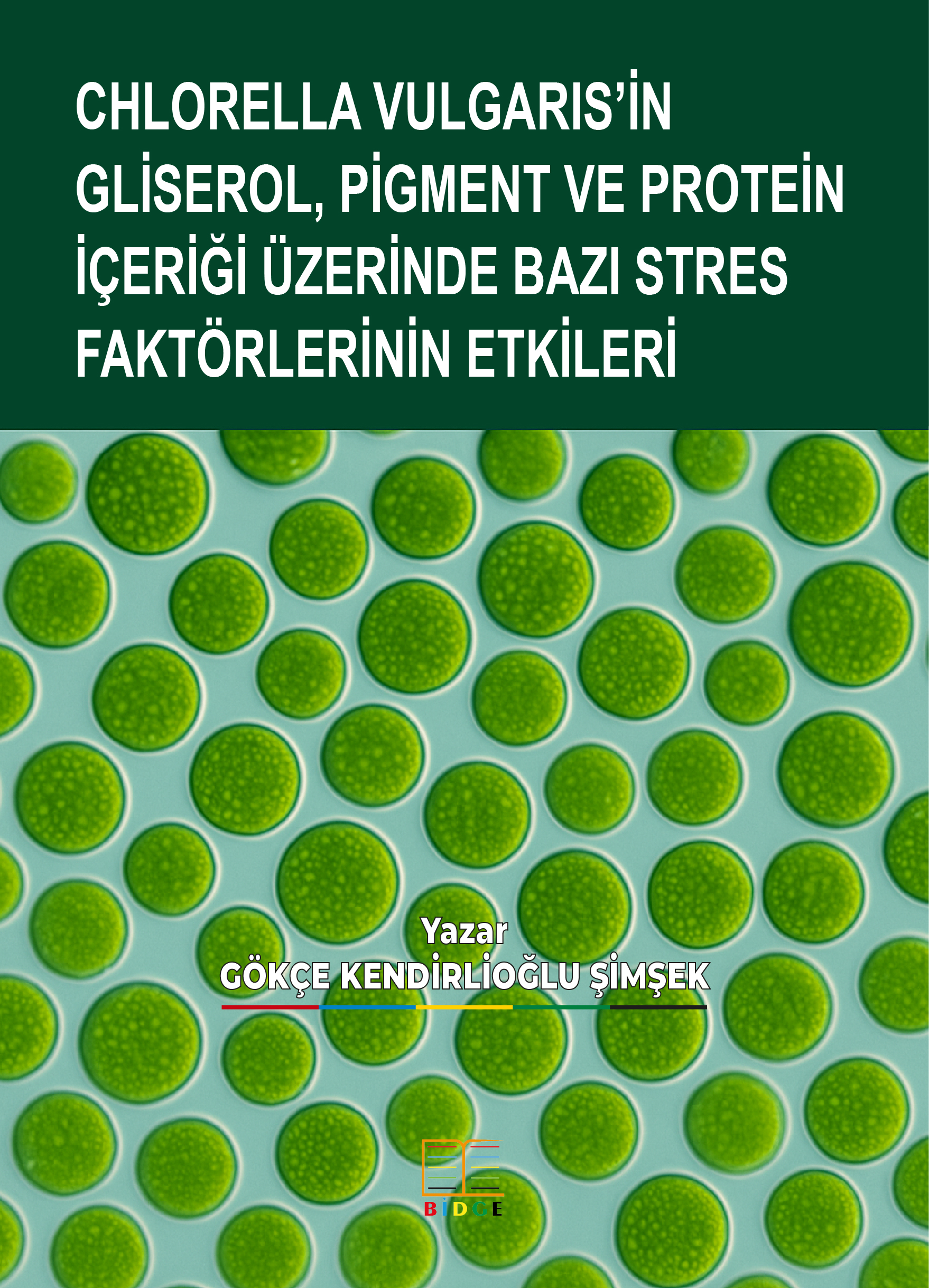 CHLORELLA VULGARIS’İN GLİSEROL, PİGMENT VE PROTEİN İÇERİĞİ ÜZERİNDE BAZI STRES FAKTÖRLERİNİN ETKİLERİ kapak görseli