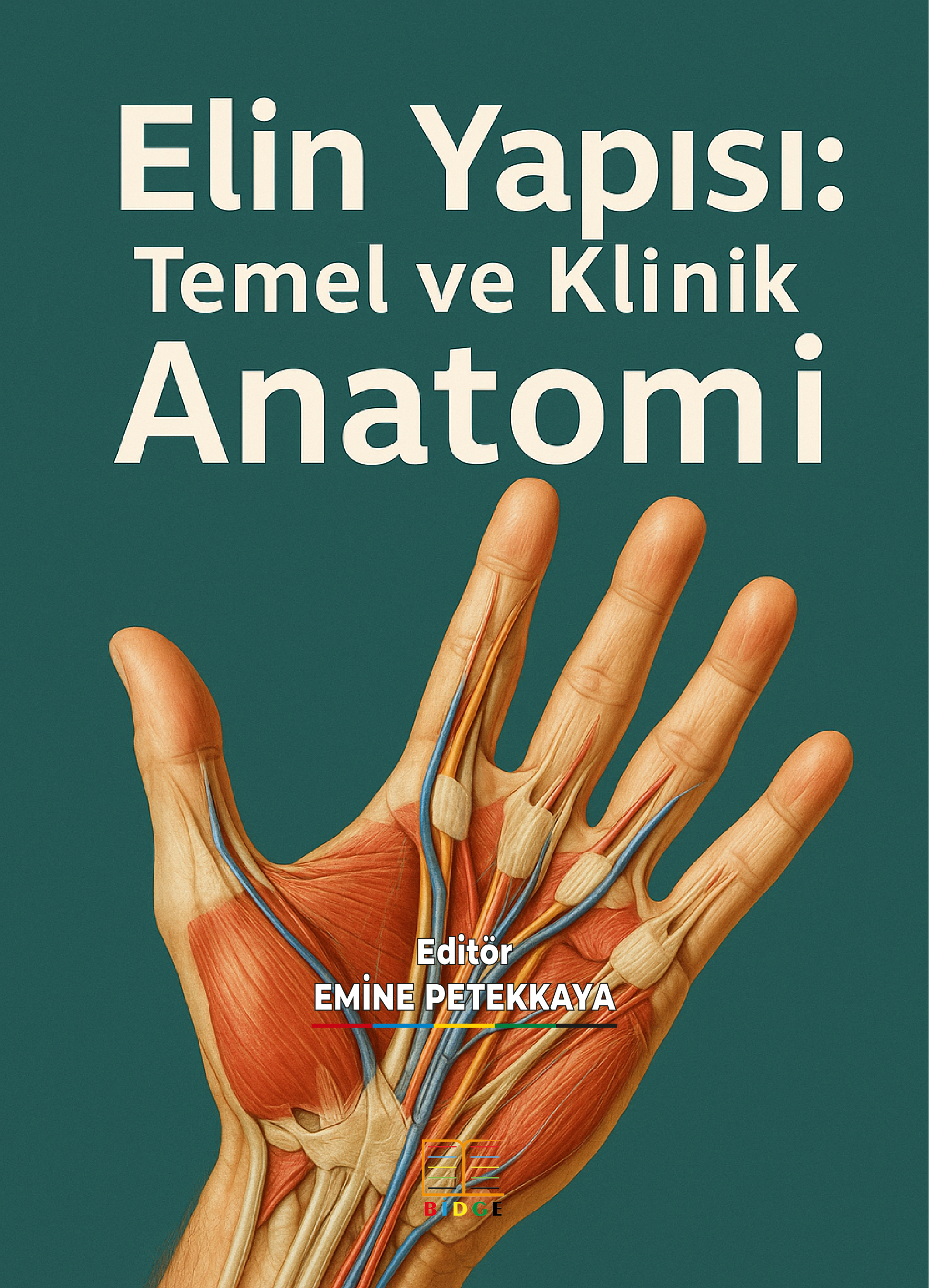 Elin Yapısı: Temel ve Klinik Anatomi kapak görseli