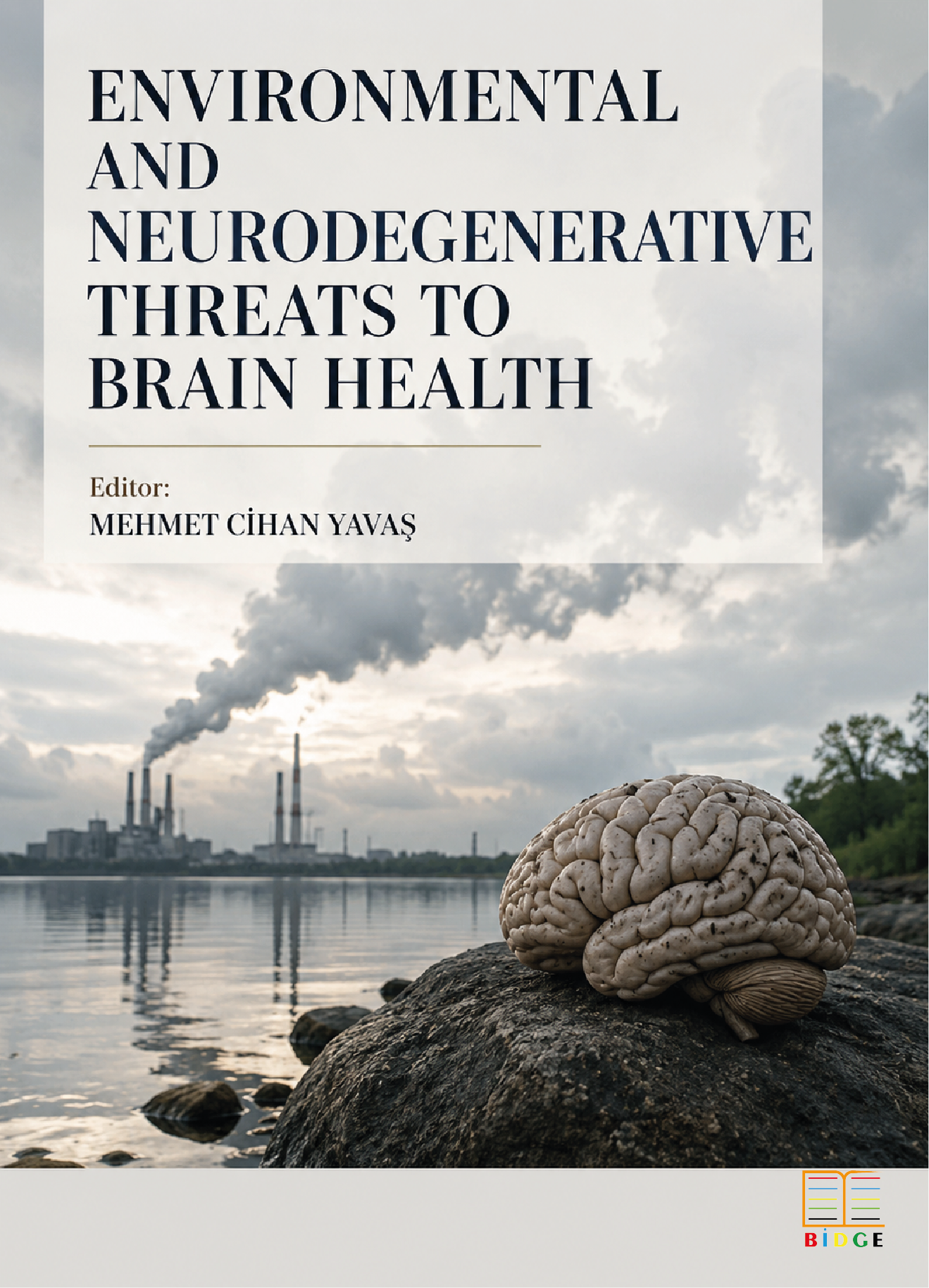 Environmental and Neurodegenerative Threats To Brain Health kapak görseli