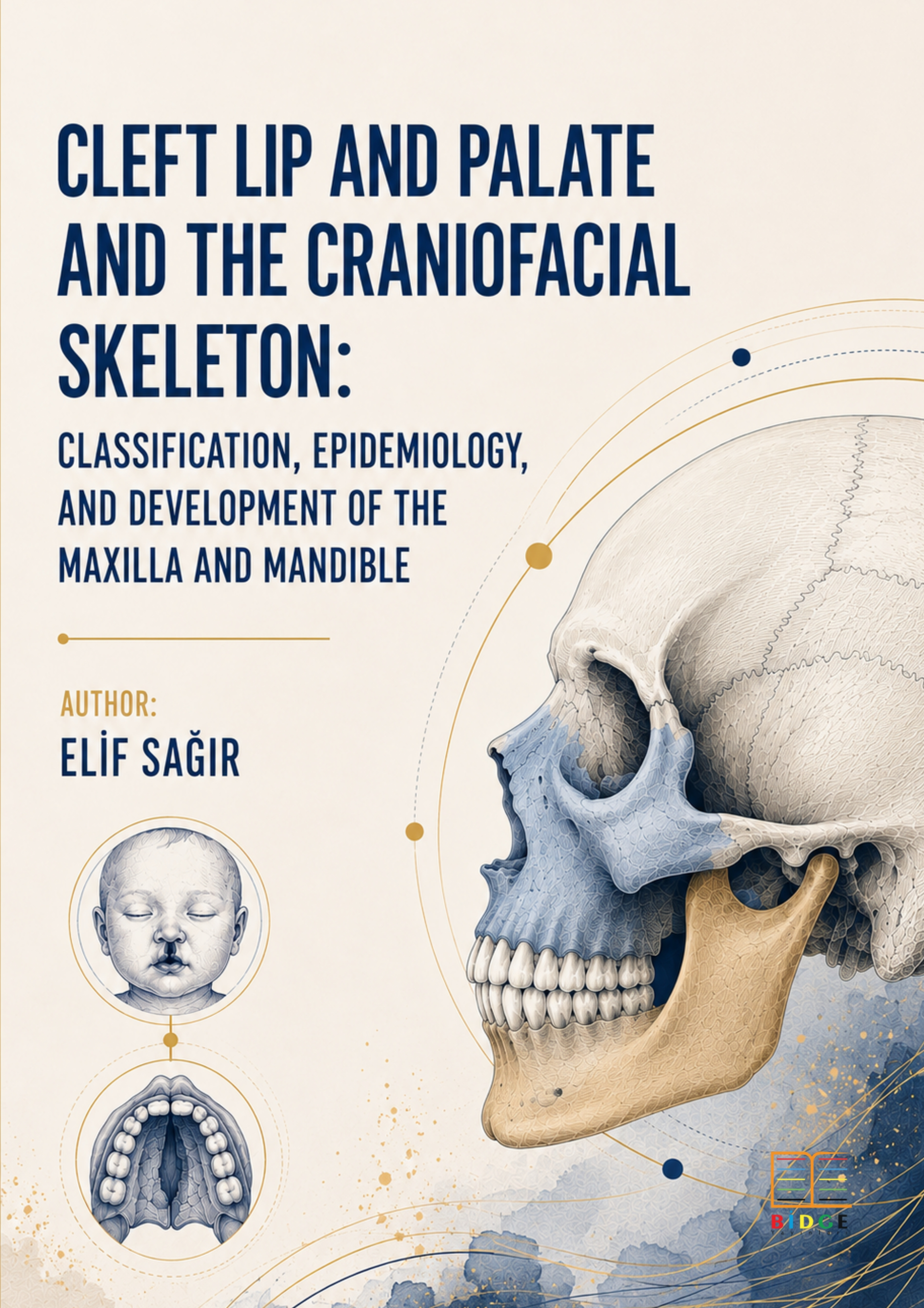 CLEFT LIP AND PALATE AND THE CRANIOFACIAL SKELETON: CLASSIFICATION, EPIDEMIOLOGY, AND DEVELOPMENT OF THE MAXILLA AND MANDIBLE kapak görseli