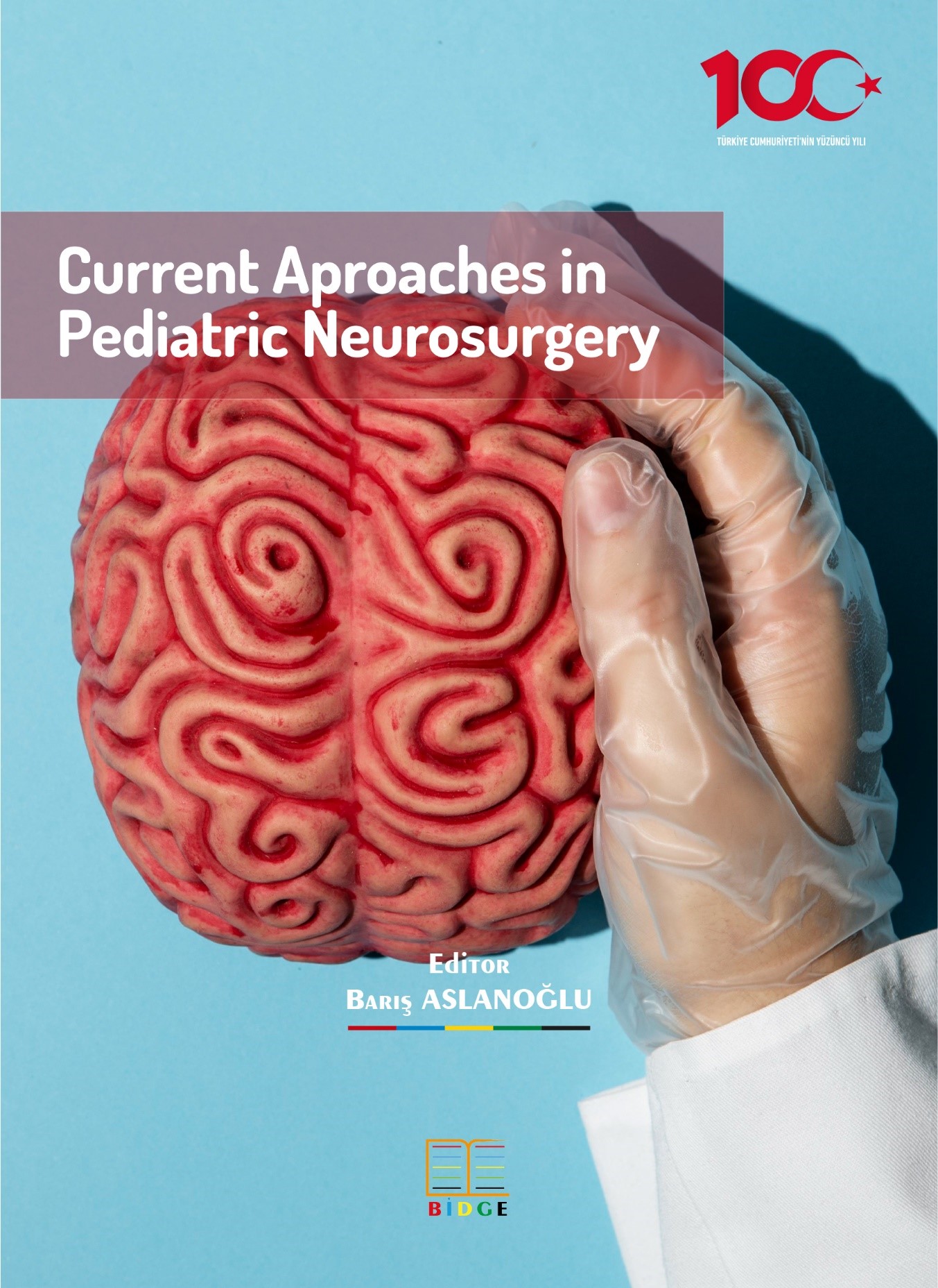 Current Aproaches in Pediatric Neurosurgery kapak görseli