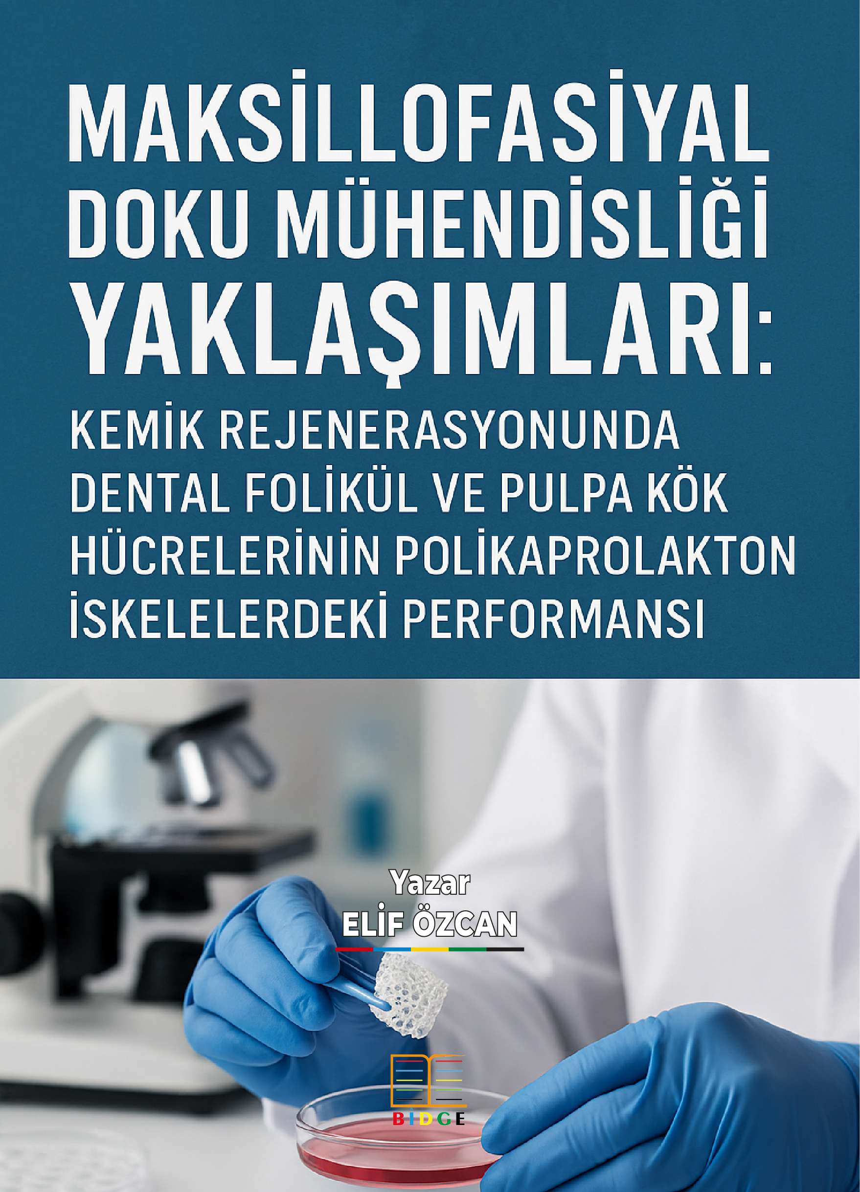 MAKSİLLOFASİYAL DOKU MÜHENDİSLİĞİ YAKLAŞIMLARI: KEMİK REJENERASYONUNDA DENTAL FOLİKÜL VE PULPA KÖK HÜCRELERİNİN POLİKAPROLAKTON İSKELELERDEKİ PERFORMANSI kapak görseli