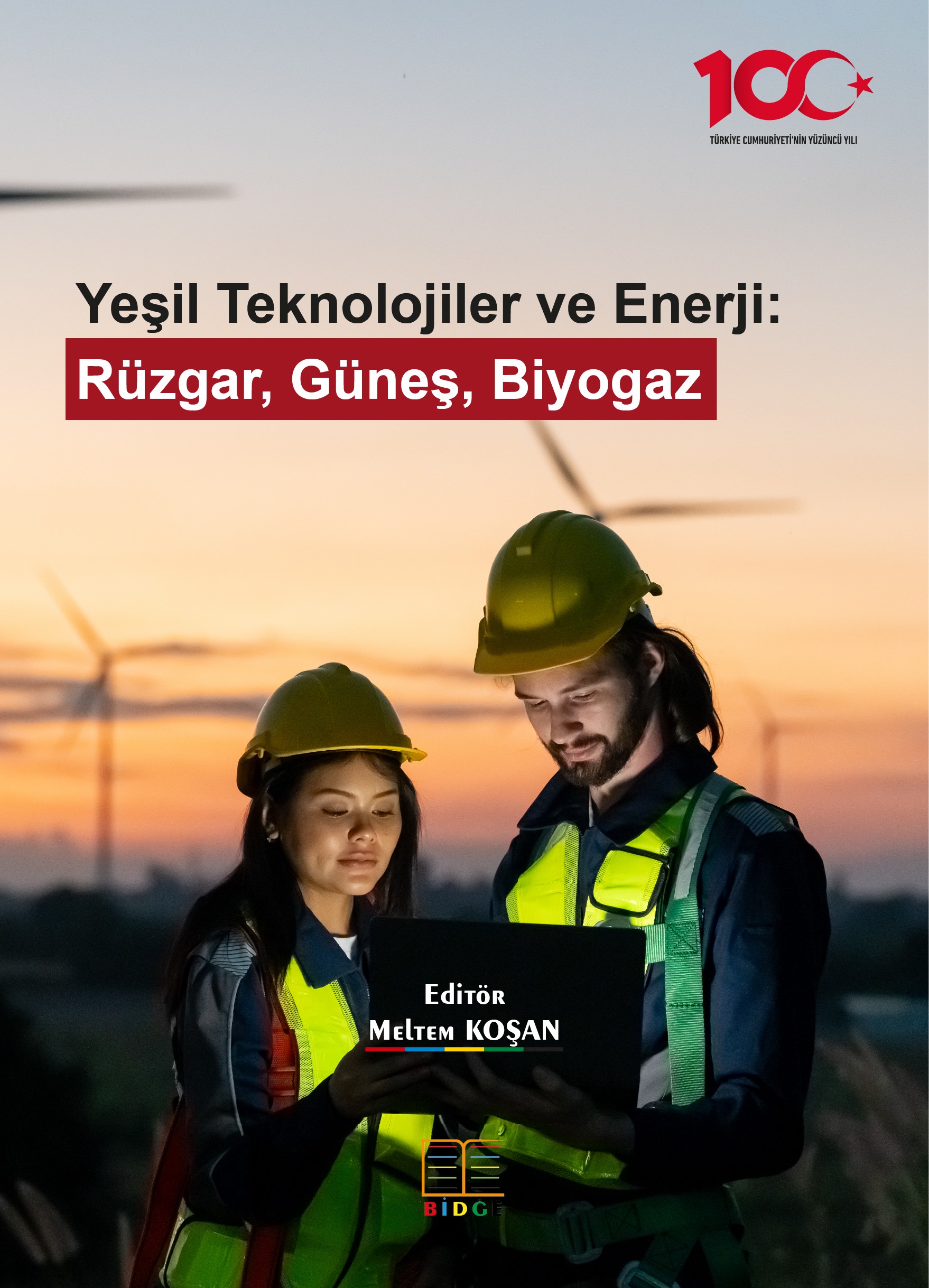 Yeşil Teknolojiler ve Enerji: Rüzgar, Güneş, Biyogaz kapak görseli